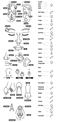 Soorten piercings