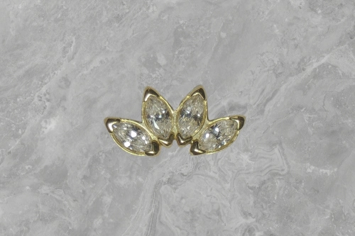 Zirkonia Princess Waaier 18k goud - Little Gem